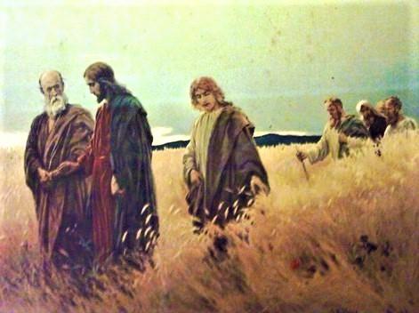 Lord of the Sabbath