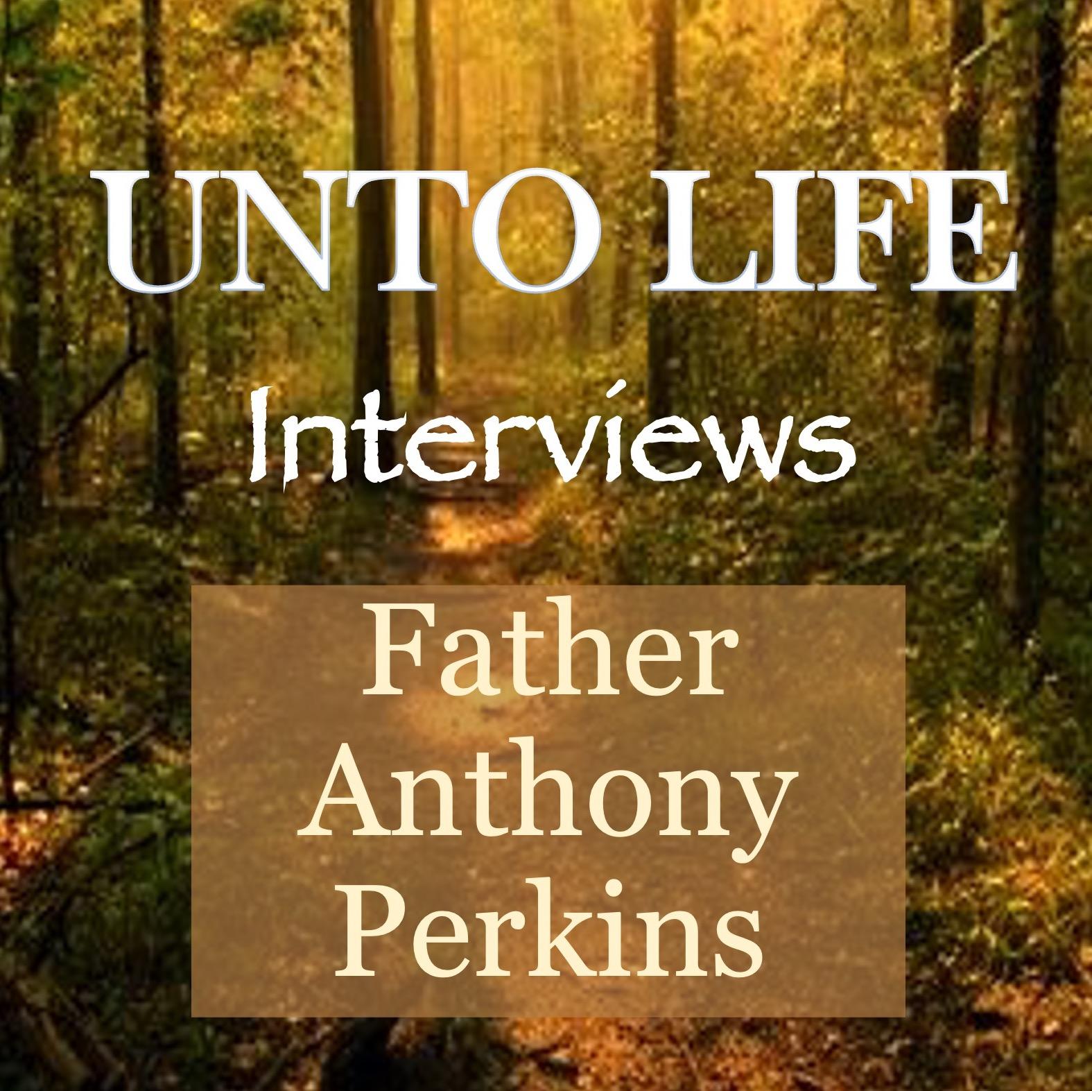 Father Anthony and the Patterns of Perfection