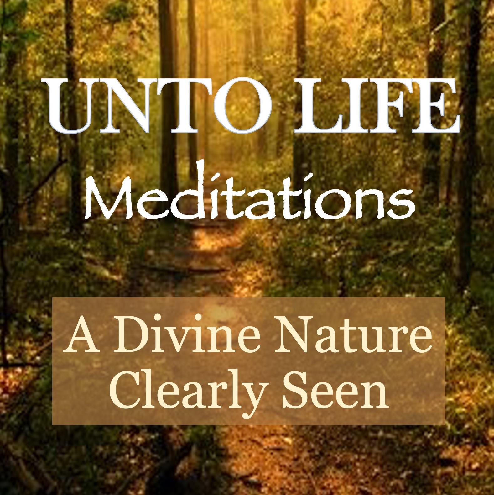 A Divine Nature Clearly Seen